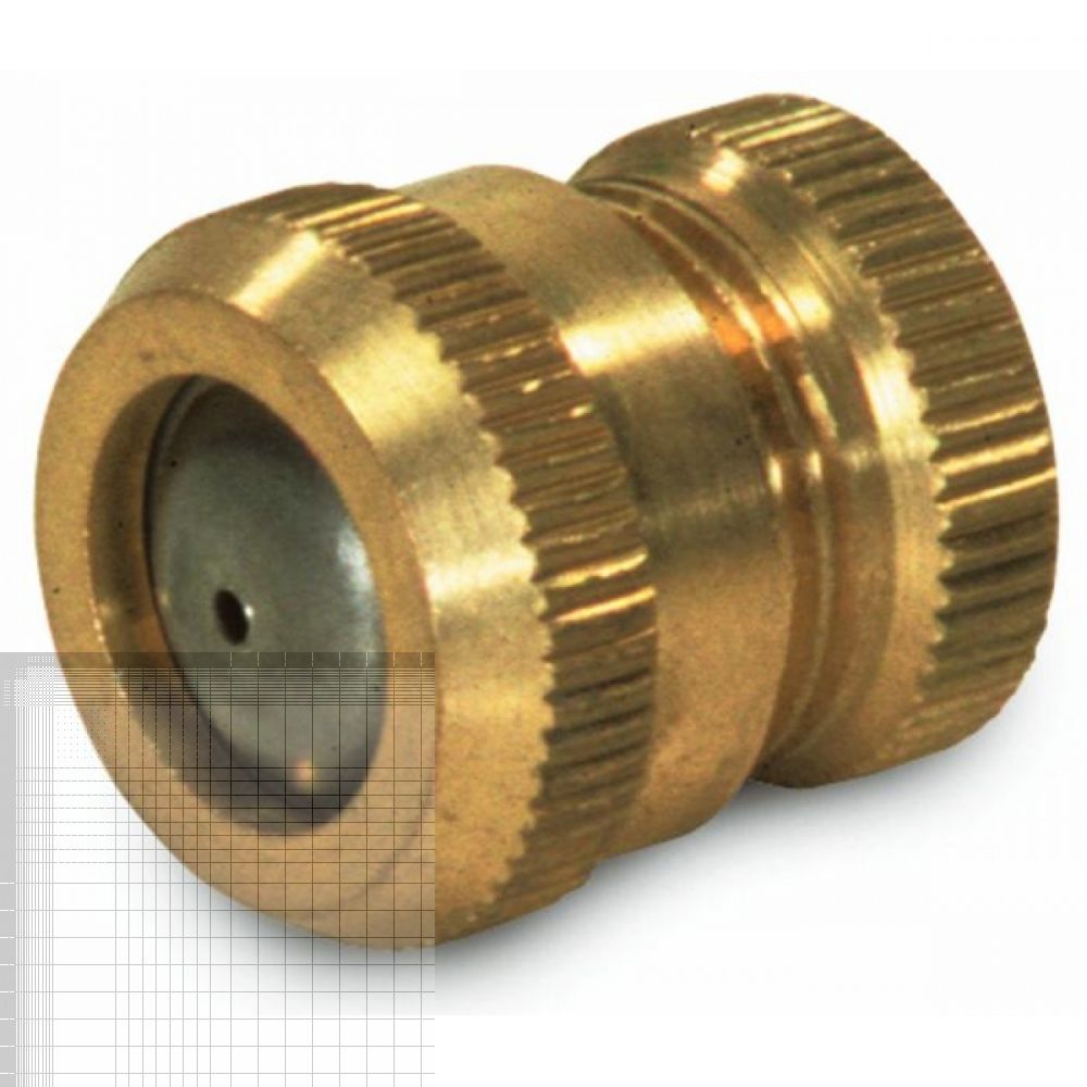 GETTO MERIDIONALE A ROSA X LANCIA OTTONE 1/2-3/8F - Foto 3