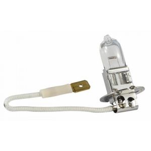 Lampada per veicoli 12V 55W (PK22S)