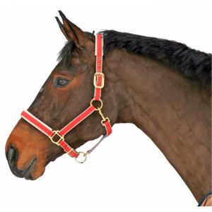 Capezza top quality in nylon rossa per pony